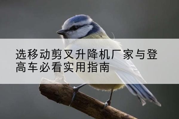 绥宁电动升降机厂家-选移动剪叉升降机厂家与登高车必看实用指南