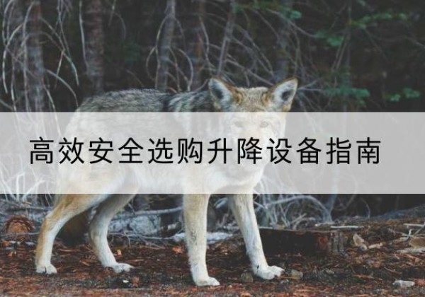 绥宁升降货梯厂家推荐-*安全选购升降设备指南
