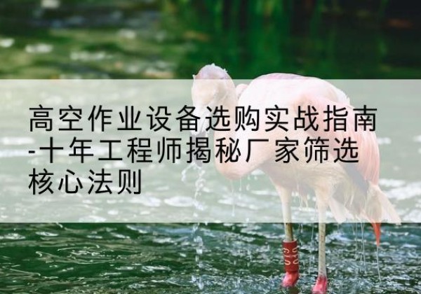 绥宁剪叉式升降机厂家-高空作业设备选购实战指南-十年工程师揭秘厂家筛选核心法则